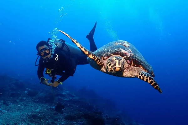 15-days-dive-land-safari-6