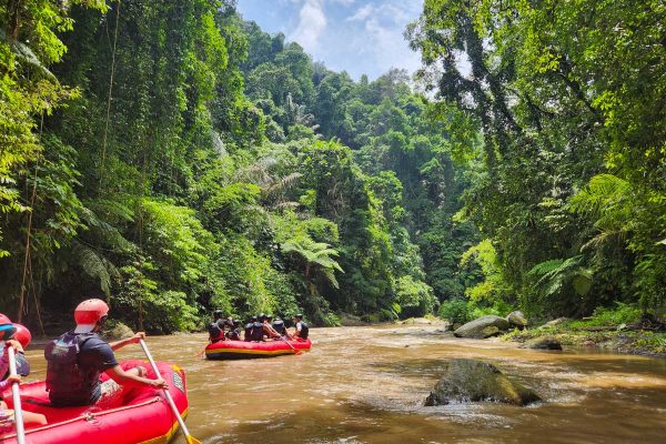 Two-rafts-in-a-river-in-the-jungle-of-Bali
