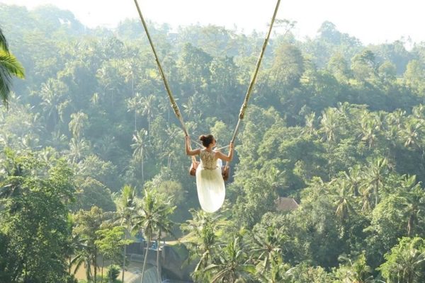 mobile-bali-swing-and-ubud-tour