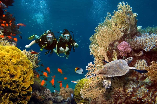 scuba-diving-bali1